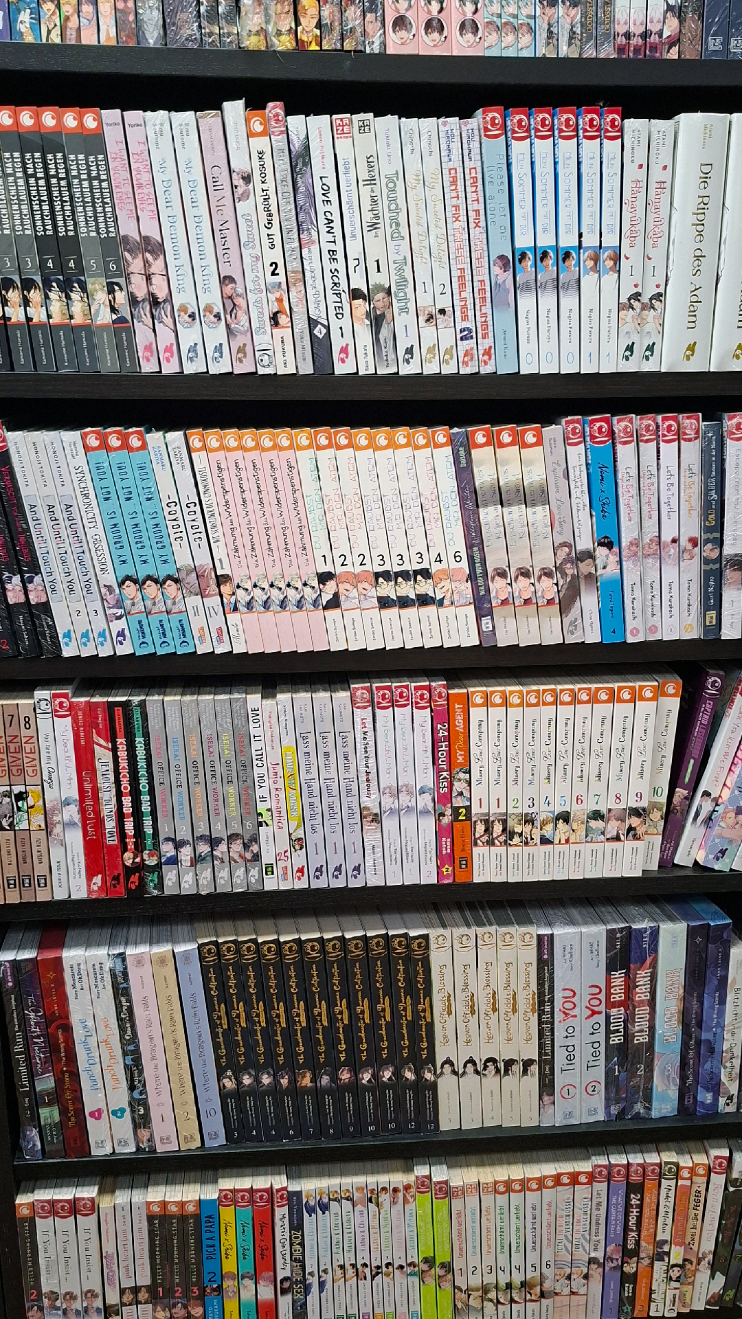 Store Impression 4